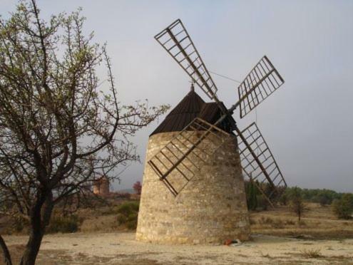 Bed and Breakfast La Marsanne Nissan-lez-Enserune Esterno foto