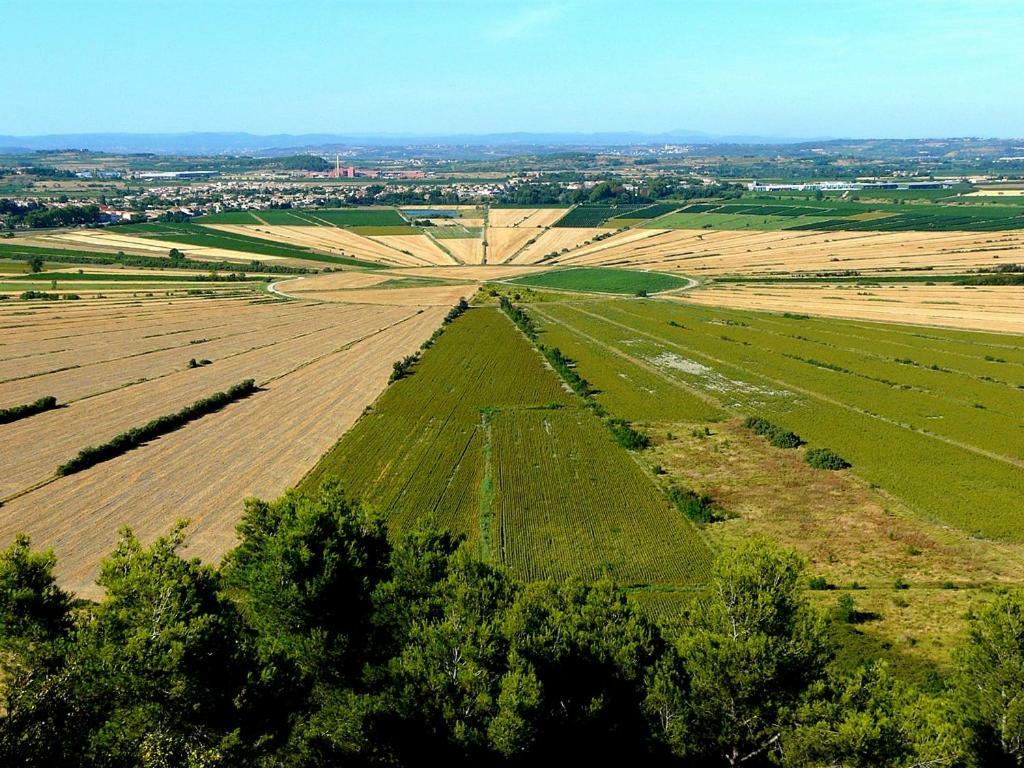 Bed and Breakfast La Marsanne Nissan-lez-Enserune Esterno foto